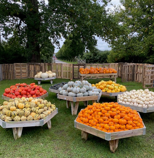 Pumpkin tables.jpg